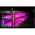 LED GROW svietidlá pre rastliny LED GROW svietidlá pre rastliny
